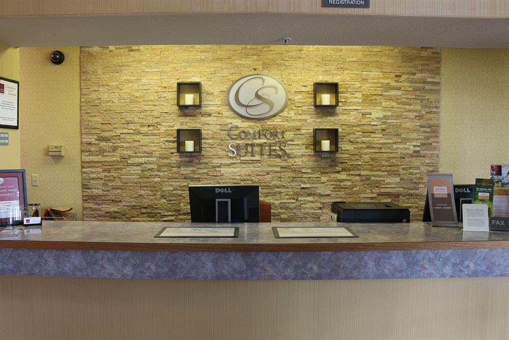 新布朗费尔斯康福特套房酒店 外观 照片